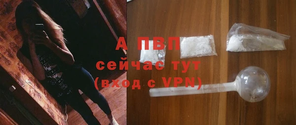 a pvp Алзамай