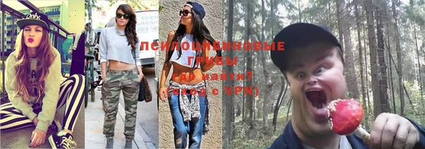 гашишное масло Алексеевка